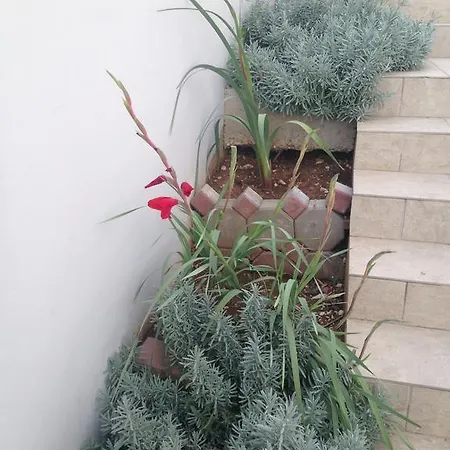 Bay Apartment Mimice